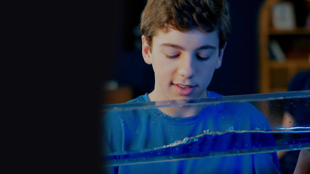 Watch Flip Turn Online