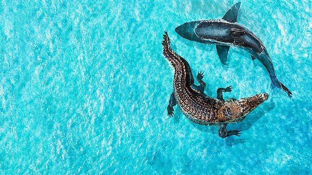 Watch Jaws vs. Mega Croc Online