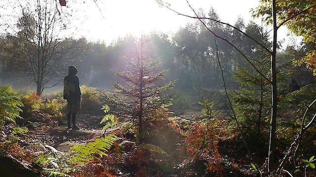 Watch Hambachers Online