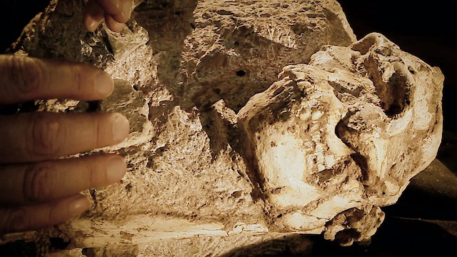 Watch The Story of Little Foot Online