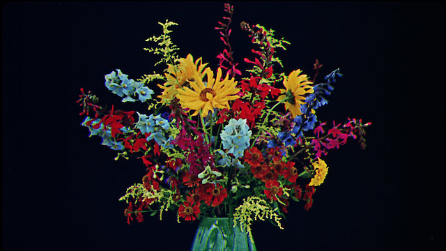 Watch Cinema's First Colors Online