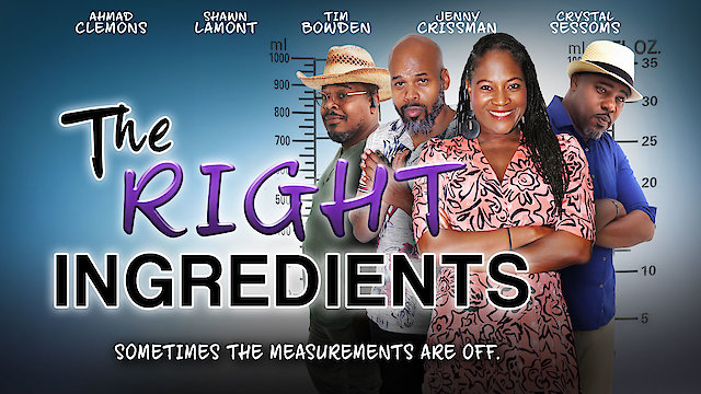 Watch The Right Ingredients Online