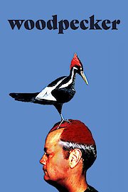 Woodpecker