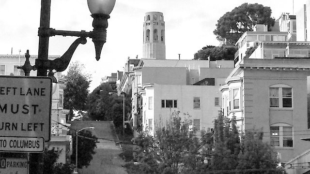 Watch Passion is the Money Online