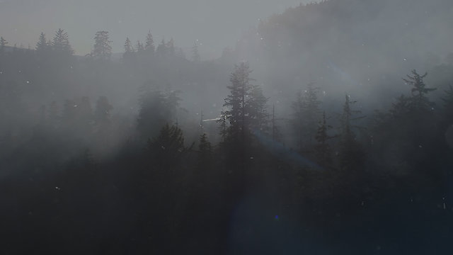 Watch One Health, One Future Online