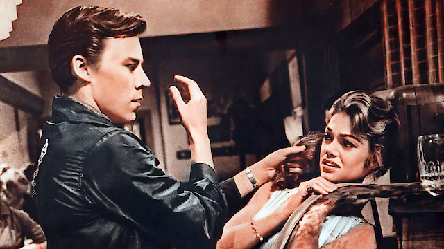 Watch The Black Rebels Online