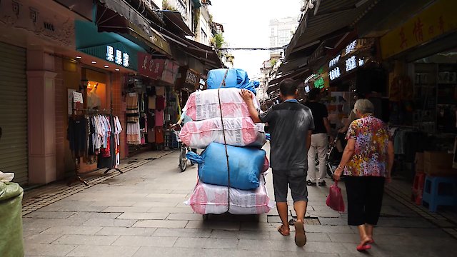 Watch One Earth: Everything is Connected Online