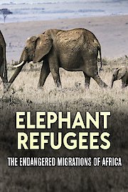 Elephant Refugees poster