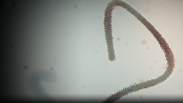 Watch Spillover: Zika, Ebola & Beyond Online