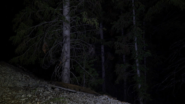 Watch Horror in the High Desert 3: Firewatch Online