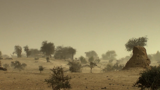 Watch Sahara Prison Online