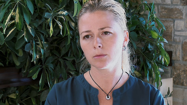 Watch The Stray Story: A Dogumentary Online