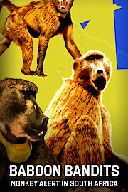 Baboon Bandits