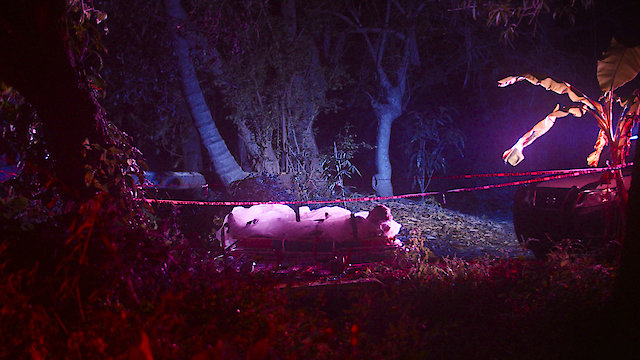 Watch At Night All The Cats Are Black Online