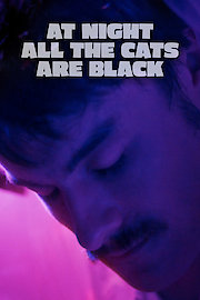At Night All The Cats Are Black poster