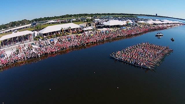 Watch Oceans of Pink Online