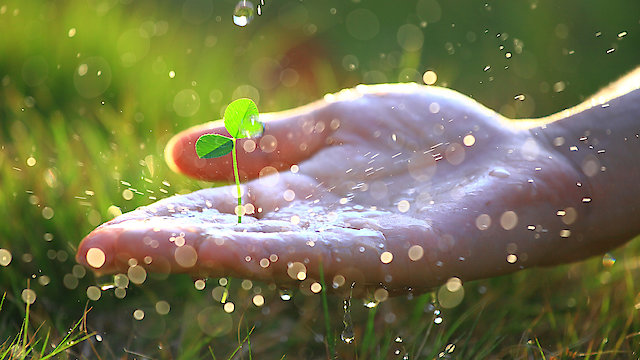 Watch Bob Proctor: Master Class Online