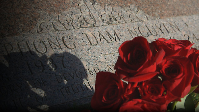 Watch Terror in Little Saigon Online