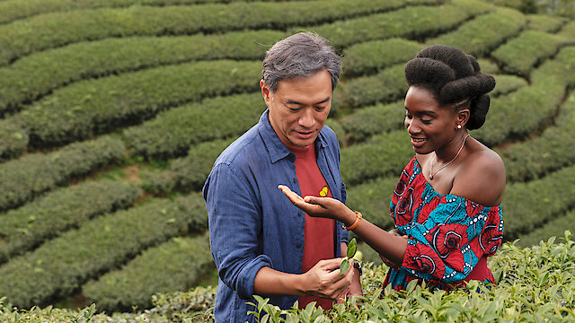 Watch Black Tea Online