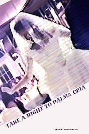 Take A Right to Palma Ceia