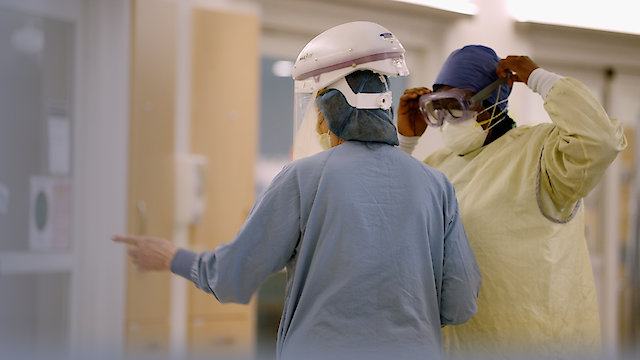 Watch The Virus: What Went Wrong? Online