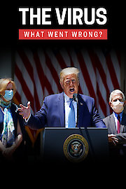 The Virus: What Went Wrong? poster