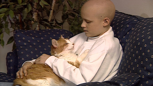 Watch A Time For Life Online