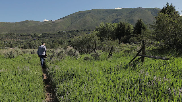 Watch The Path Forward Online