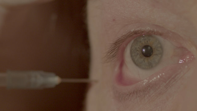 Watch Song of the fly Online