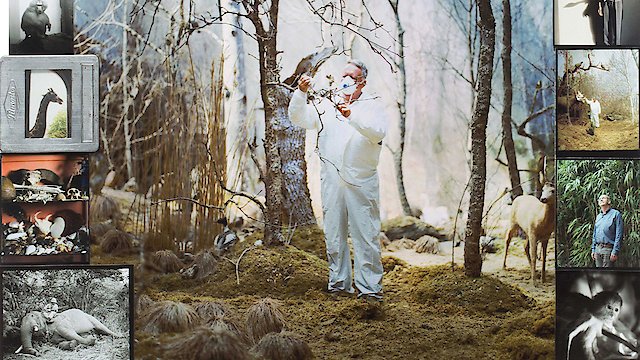 Watch Curiosity and Control Online