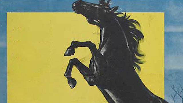 Watch The Courage Of Black Beauty Online