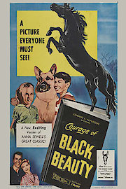 The Courage Of Black Beauty