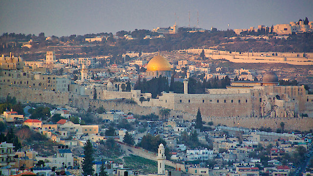 Watch The Thin Green Line Online