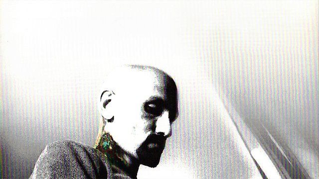 Watch Never Down Online