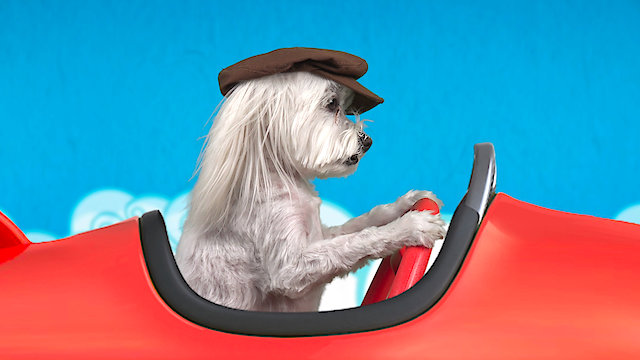 Watch Pup School: Up in the Clouds Online