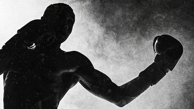 Watch Schusterman Levine: A Boxing Fable Online