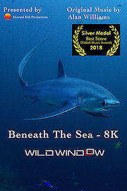 Seasons of the Sea: A Film by Howard Hall