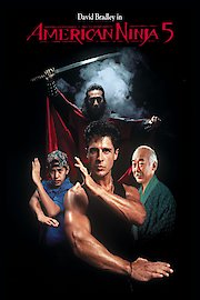 American Ninja 5 poster