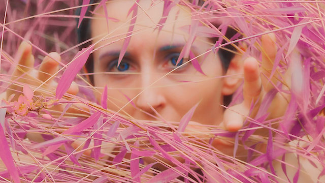 Watch Midsummer Night's Run Online