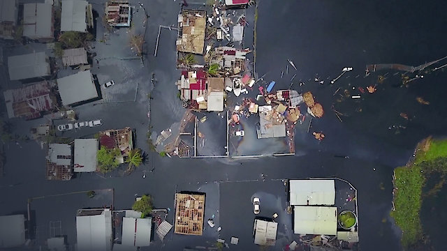 Watch Blackout in Puerto Rico Online