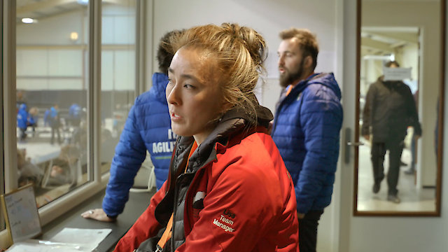 Watch Dogsville Online