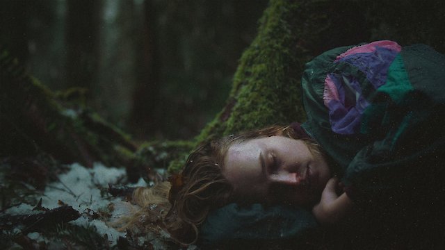 Watch To Kill A Wolf Online