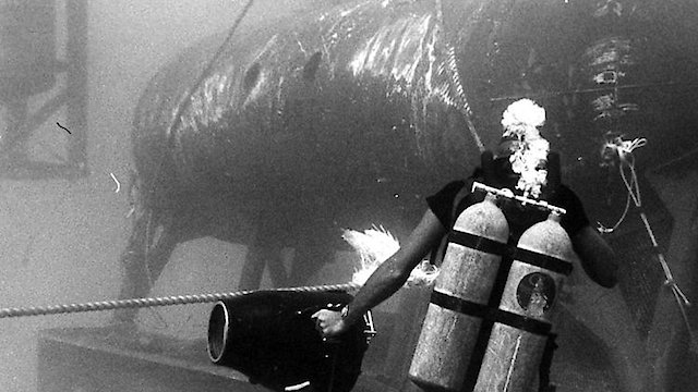 Watch The Story of Sealab I Online