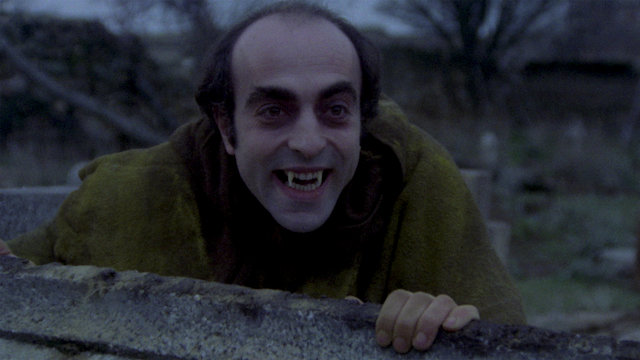 Watch The Night Of The Walking Dead Online