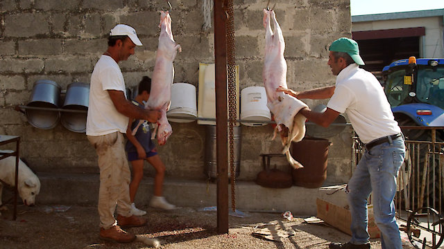 Watch Shepherds in the Cave Online