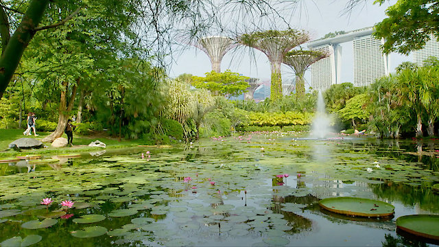 Watch Secret World Online