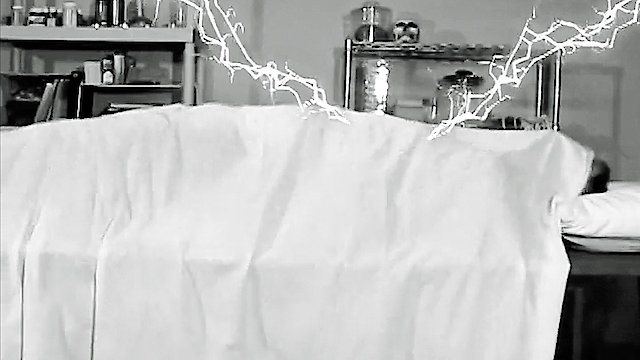 Watch The Dungeon of Dr. Dreck Online