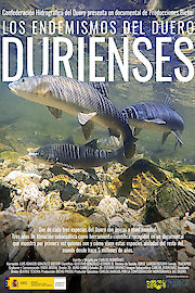 Durienses poster