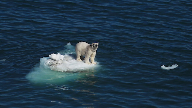 Watch On Thin Ice - Expedition Into The Russian Arctic Online