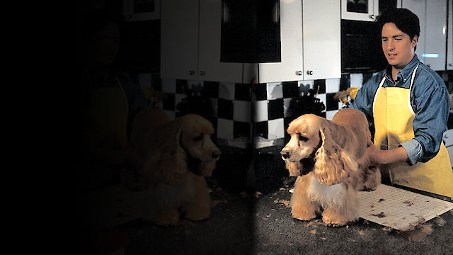 Watch Doggie Cuts Online